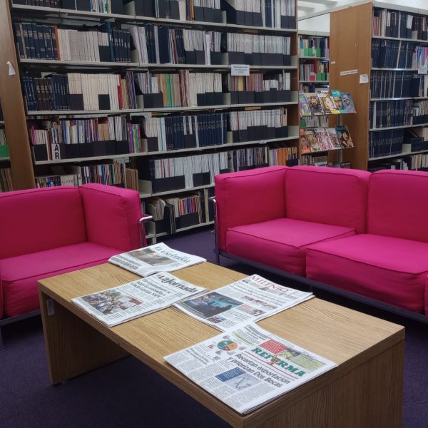 Las bibliotecas públicas son las puertas de acceso a los conocimientos y a la cultura. El Manifiesto IFLA-UNESCO sobre la Biblioteca Pública 2022